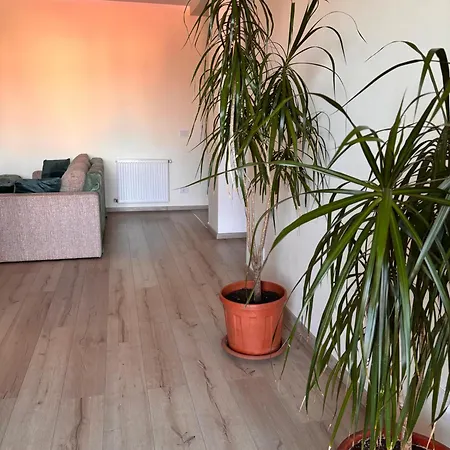 Mirvana Serenity Apartment *